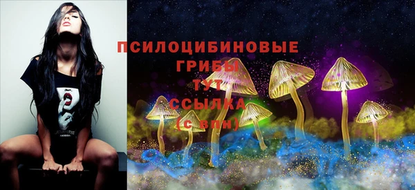 молекула духа Заводоуковск
