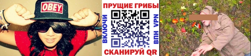Галлюциногенные грибы GOLDEN TEACHER  Купить где  Павлово 